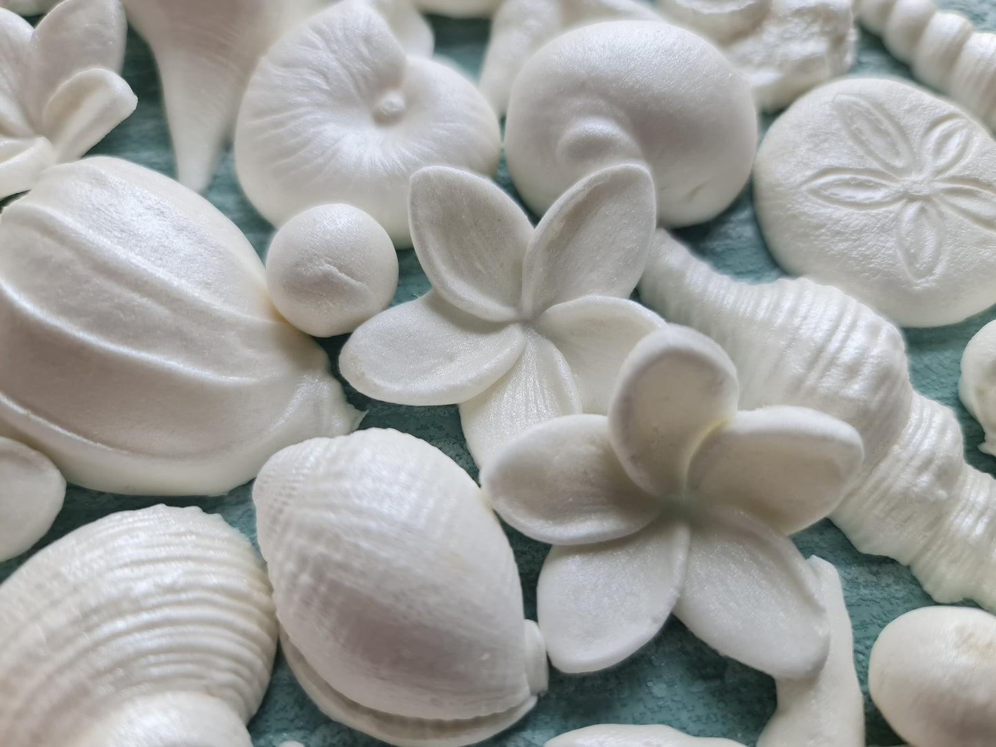 Edible Sugar Cake Topper (36 pcs.) Seashells, starfishes, plumeria flowers.No Extra Fees for US Buyers