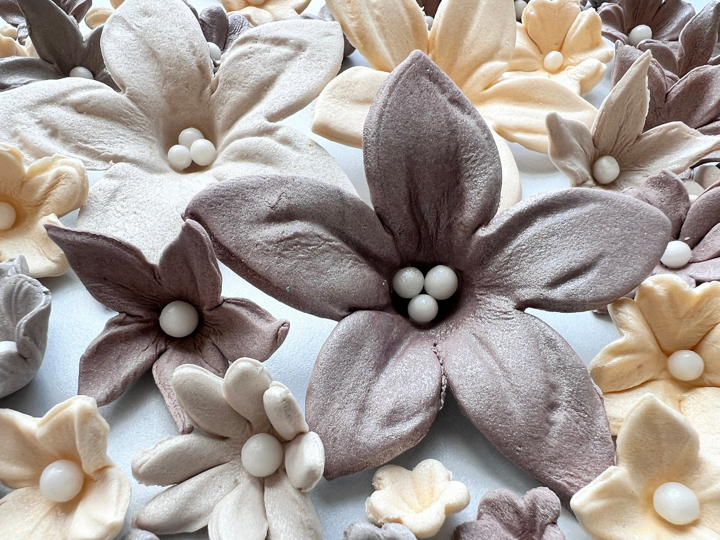 50 Edible Fondant Flowers: Cream, Ivory & Brown Cake Toppers