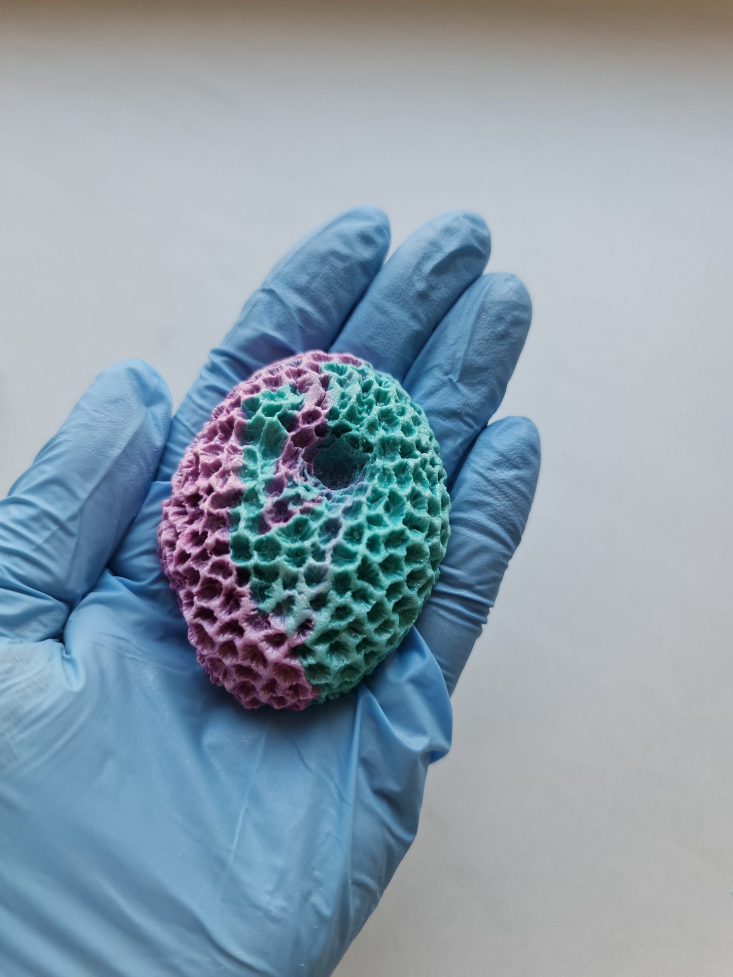 24 Sugar Fondant Mermaid Cake Toppers: Seahorse, Starfish, CoralsNo Extra Fees for US Buyers